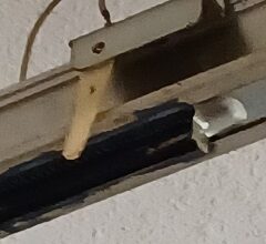 IRA, Social Security, income tax, and all things financial