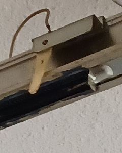 IRA, Social Security, income tax, and all things financial