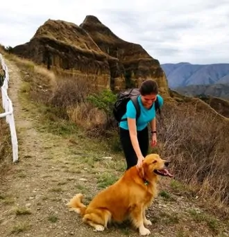 Dear Money – Define Your Money Blueprint [Write A Love Letter]