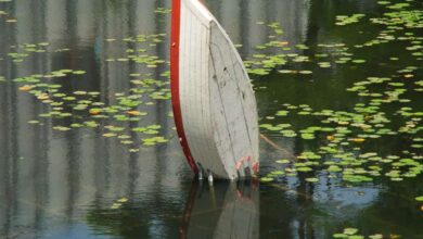 RMDs + Sequence Risk = Retirement Destruction? RMDs + Sequence Risk = Retirement Destruction?