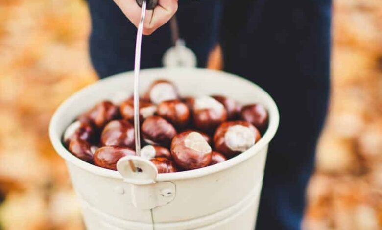 Too Much in 401(k) and Tax-Deferred Accounts?